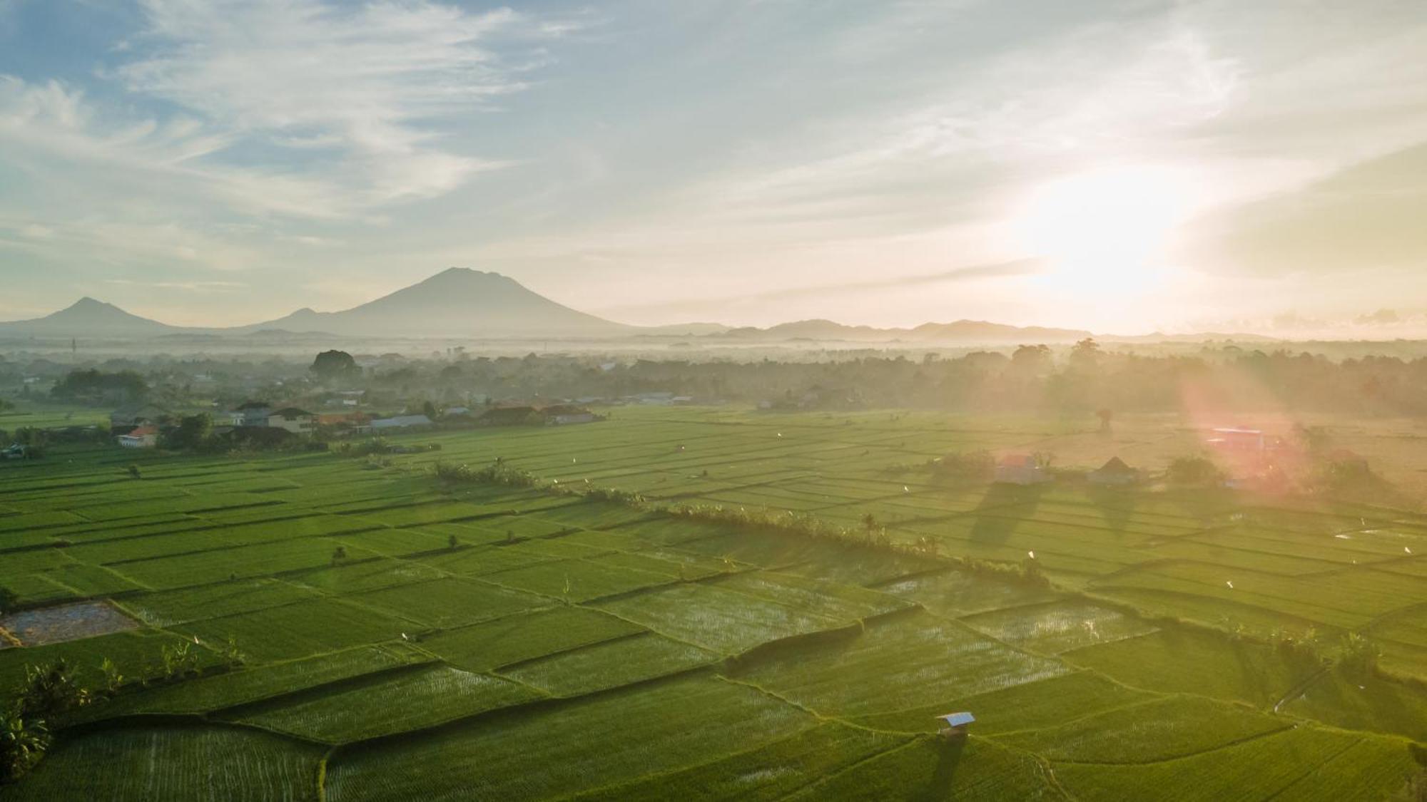 Aswanaya Villas Ubud 외부 사진